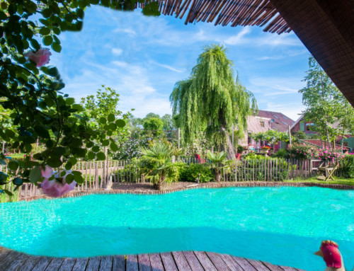 groepsaccommodatie gelderland