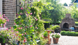 unieke groepsaccommodatie