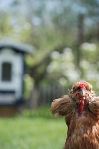 bijzondere vergaderlocatie