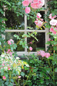 bijzondere groepsaccommodatie