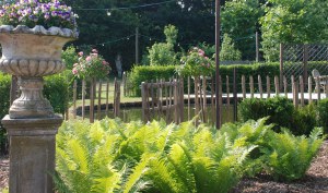 romantische bed and breakfast betuwe