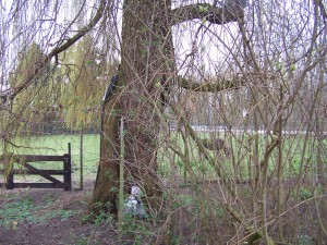 bijzondere vergaderlocatie