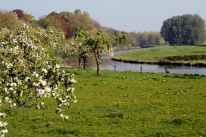 bed and breakfast betuwe