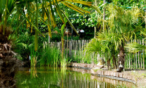 vergaderen en overnachten