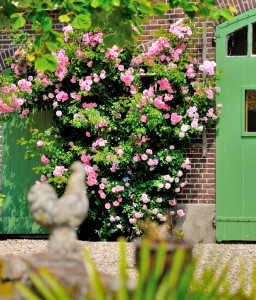 romantische bed and breakfast