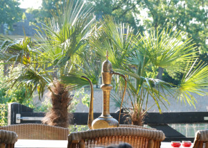 bed and breakfast betuwe