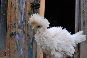 vergaderen en overnachten