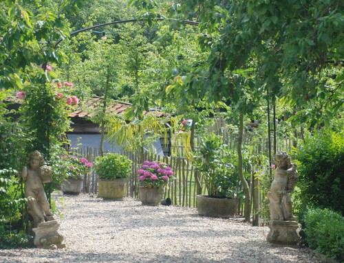 grote vakantiehuizen