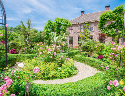 groepsaccommodatie gelderland